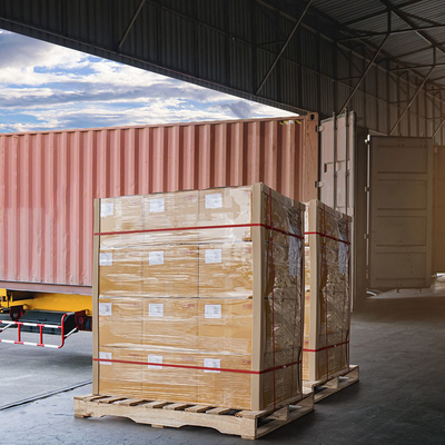 Shanghai Air International Freight Forwarder Hava Kargo CA EY SQ